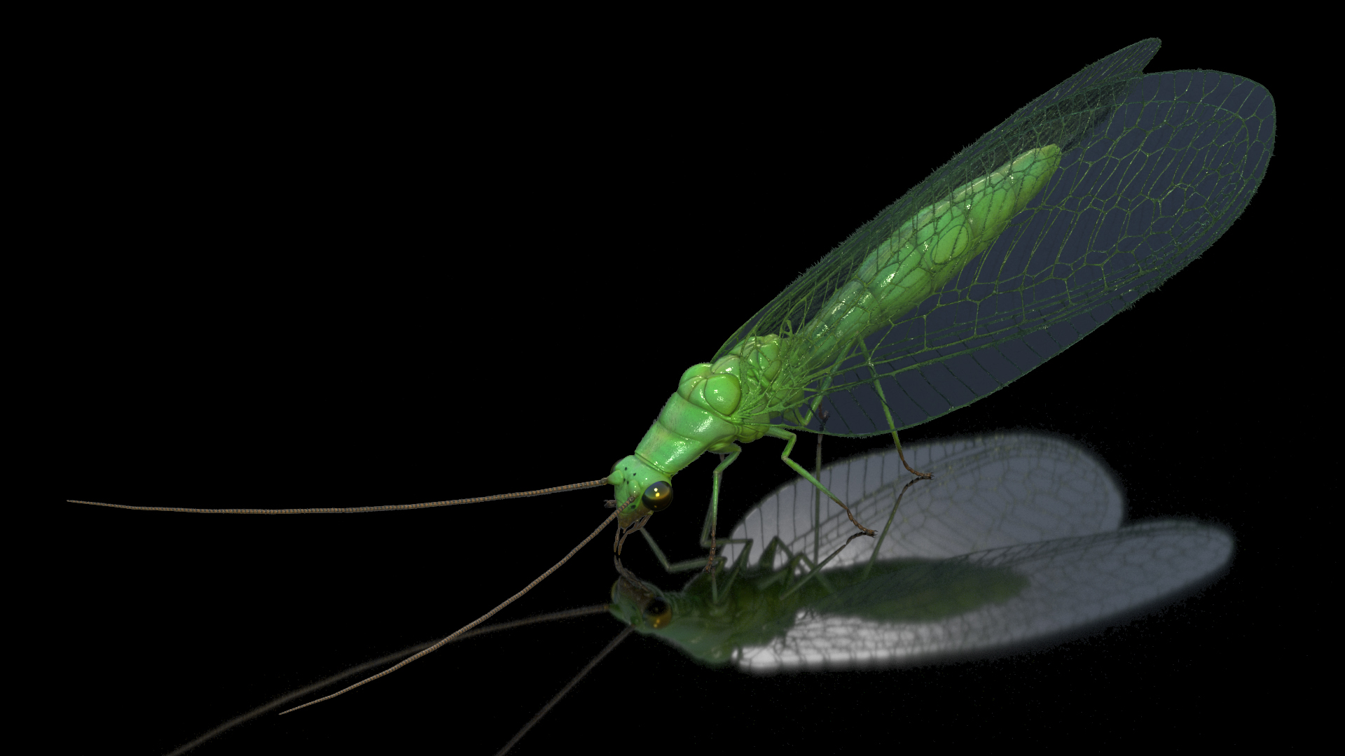 3D model Chrysopa Oculata Fur