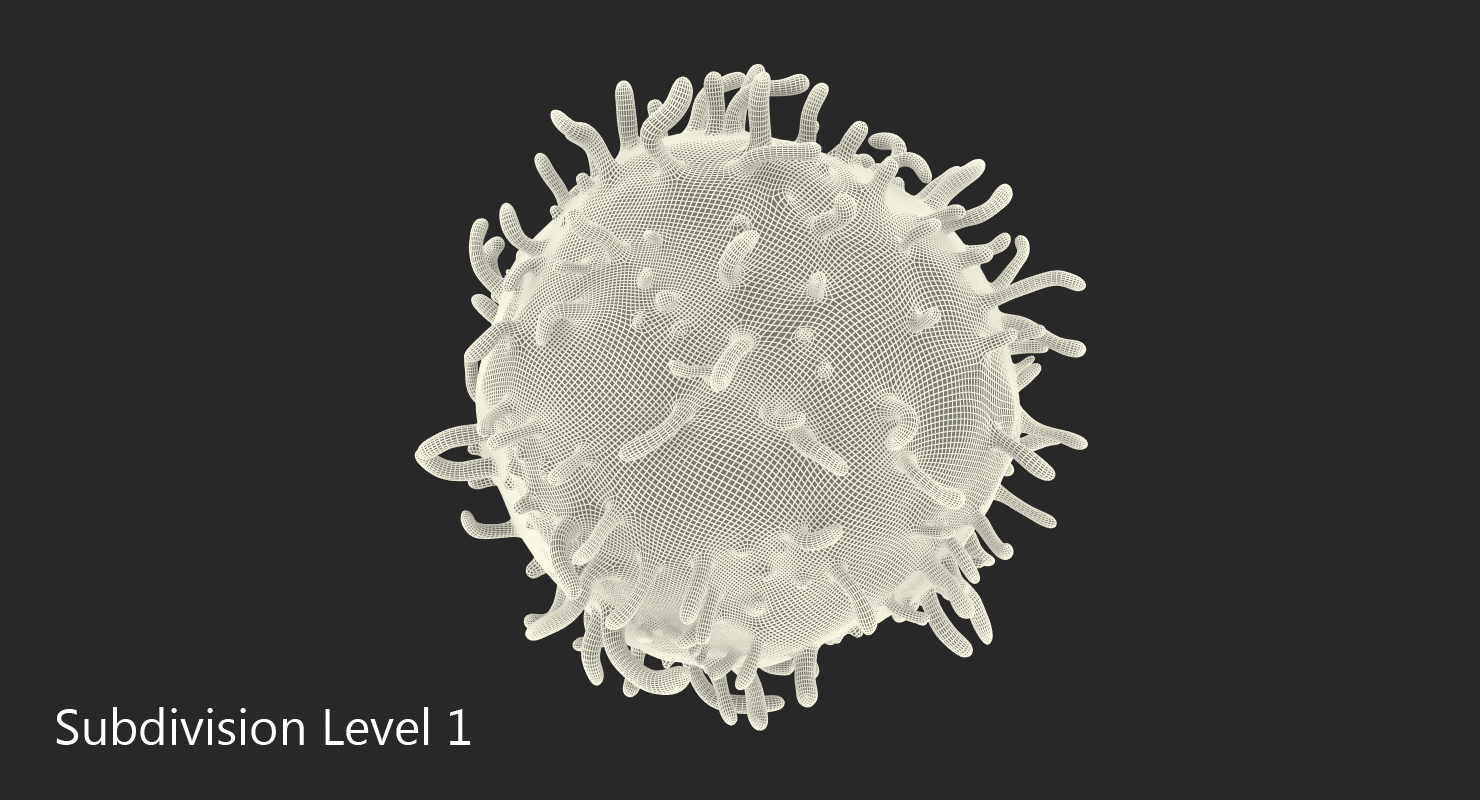 3D White Blood Cell