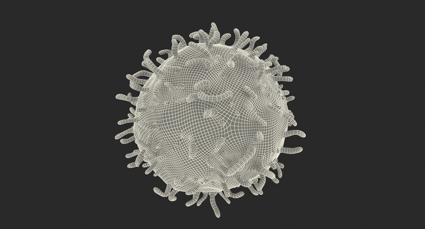 3D White Blood Cell