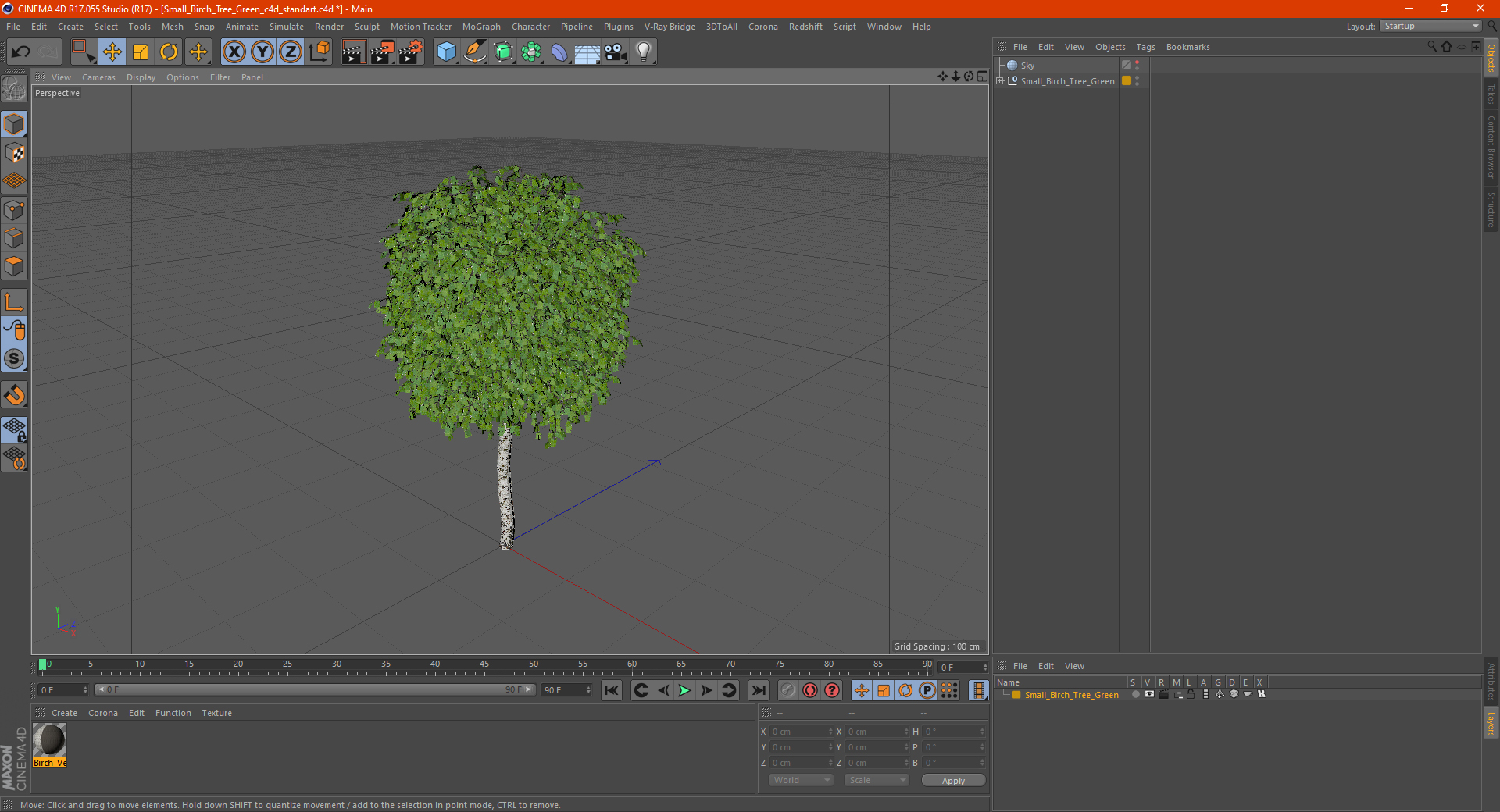 Small Birch Tree Green 3D