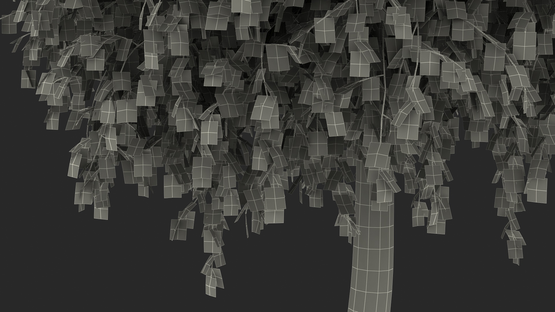 Small Birch Tree Green 3D