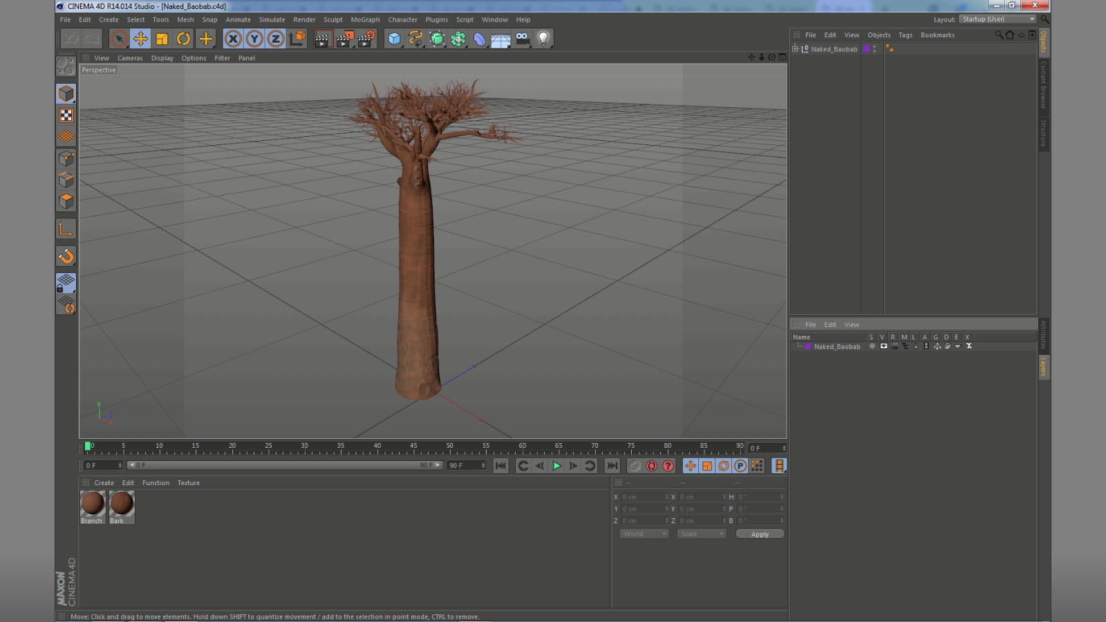 Naked Baobab 3D