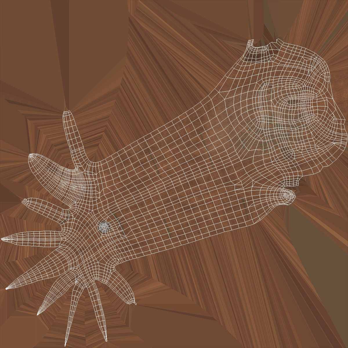 Naked Baobab 3D