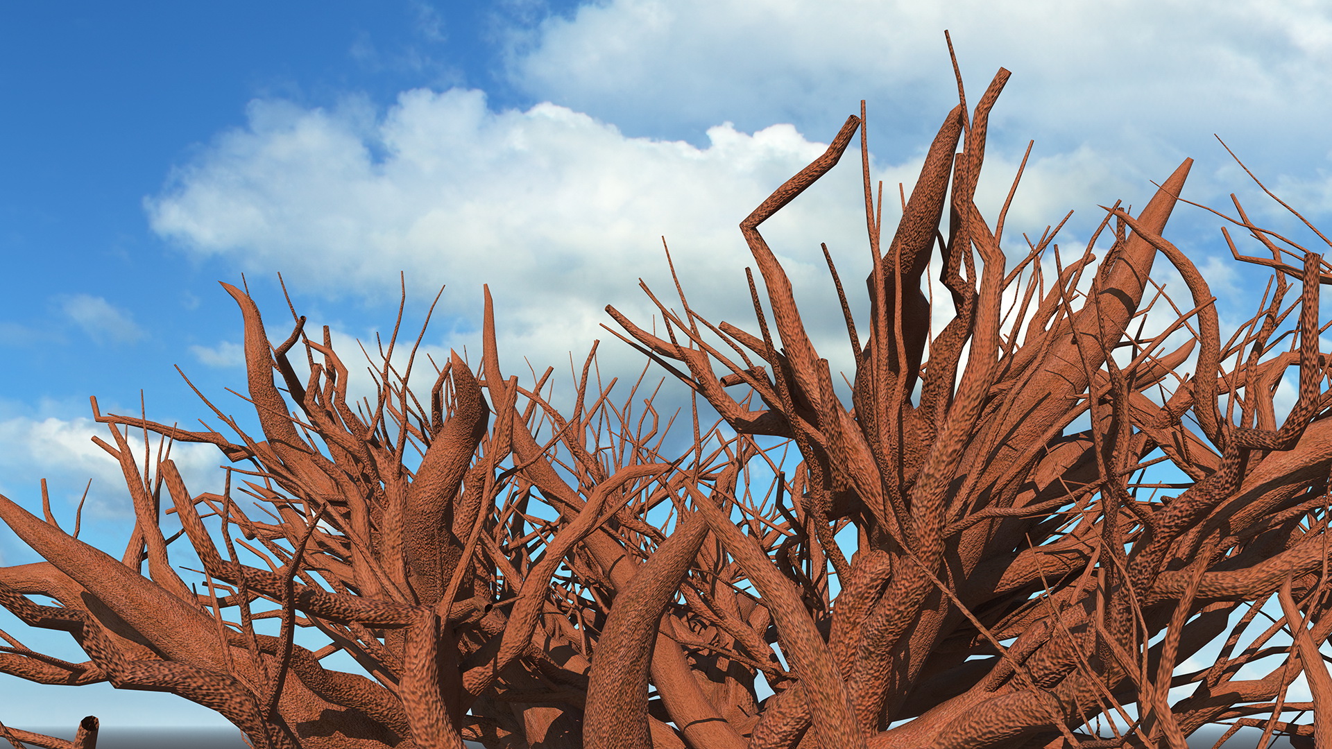 Naked Baobab 3D