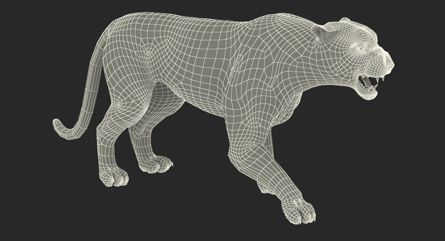 3D model Tiger Roar