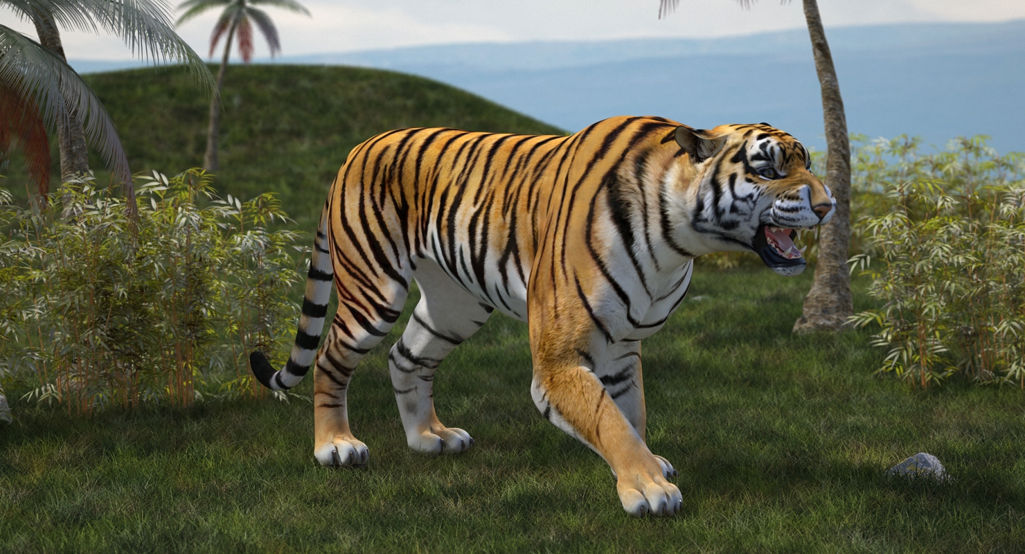 3D model Tiger Roar