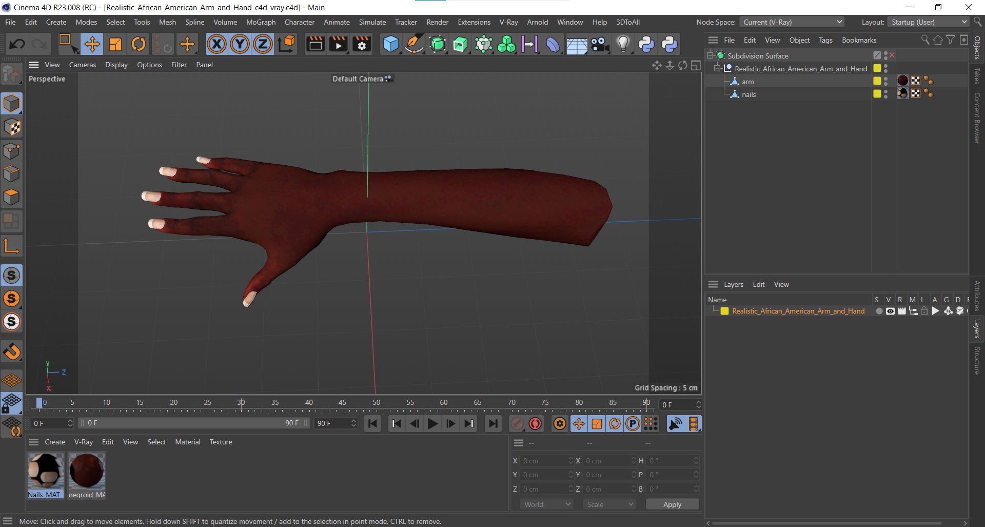 Realistic African American Arm and Hand 3D model