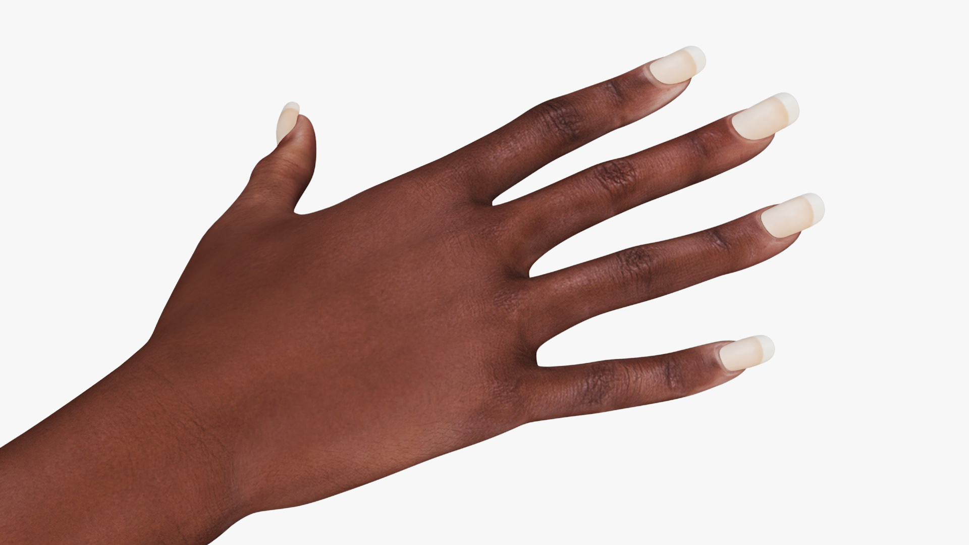 Realistic African American Arm and Hand 3D model