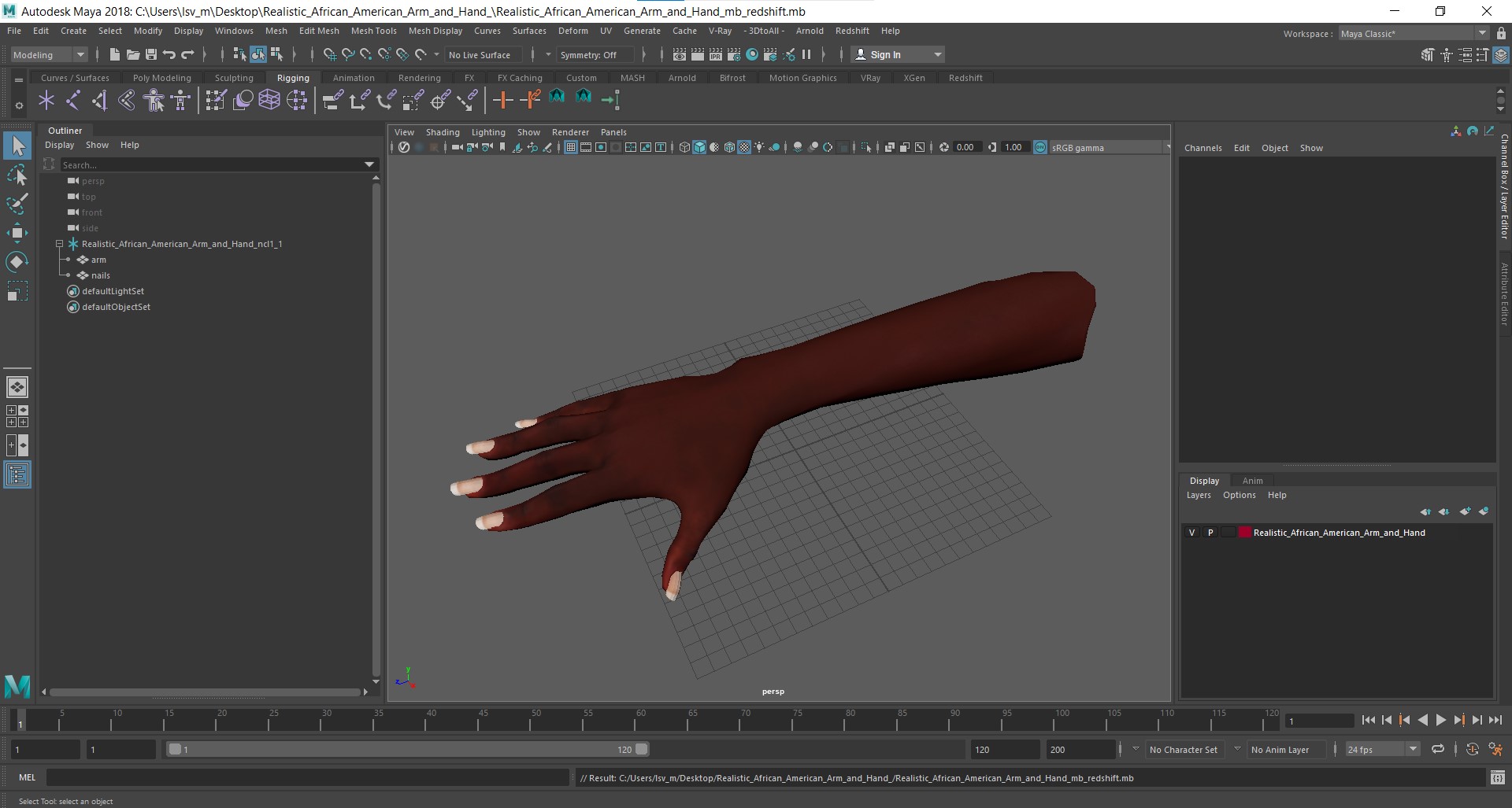 Realistic African American Arm and Hand 3D model