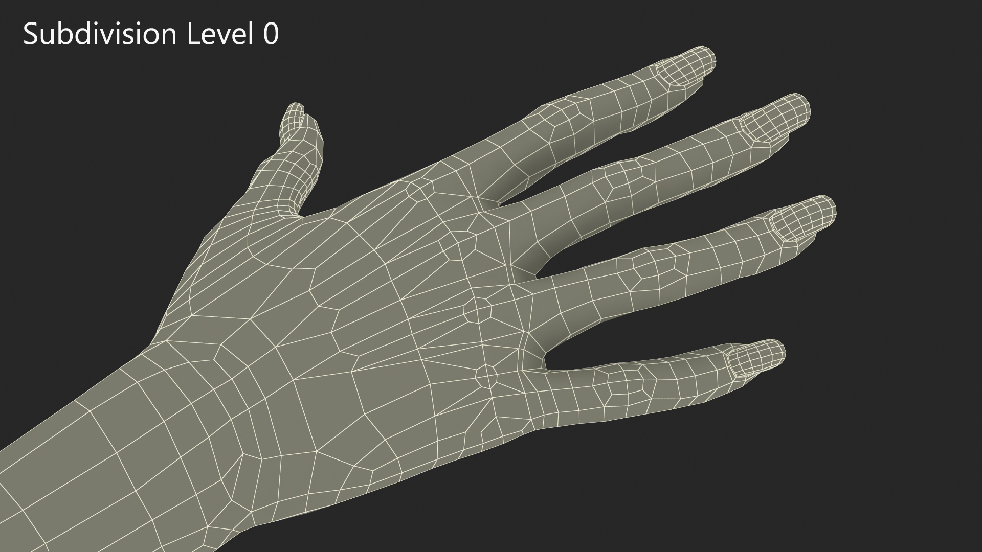 Realistic African American Arm and Hand 3D model