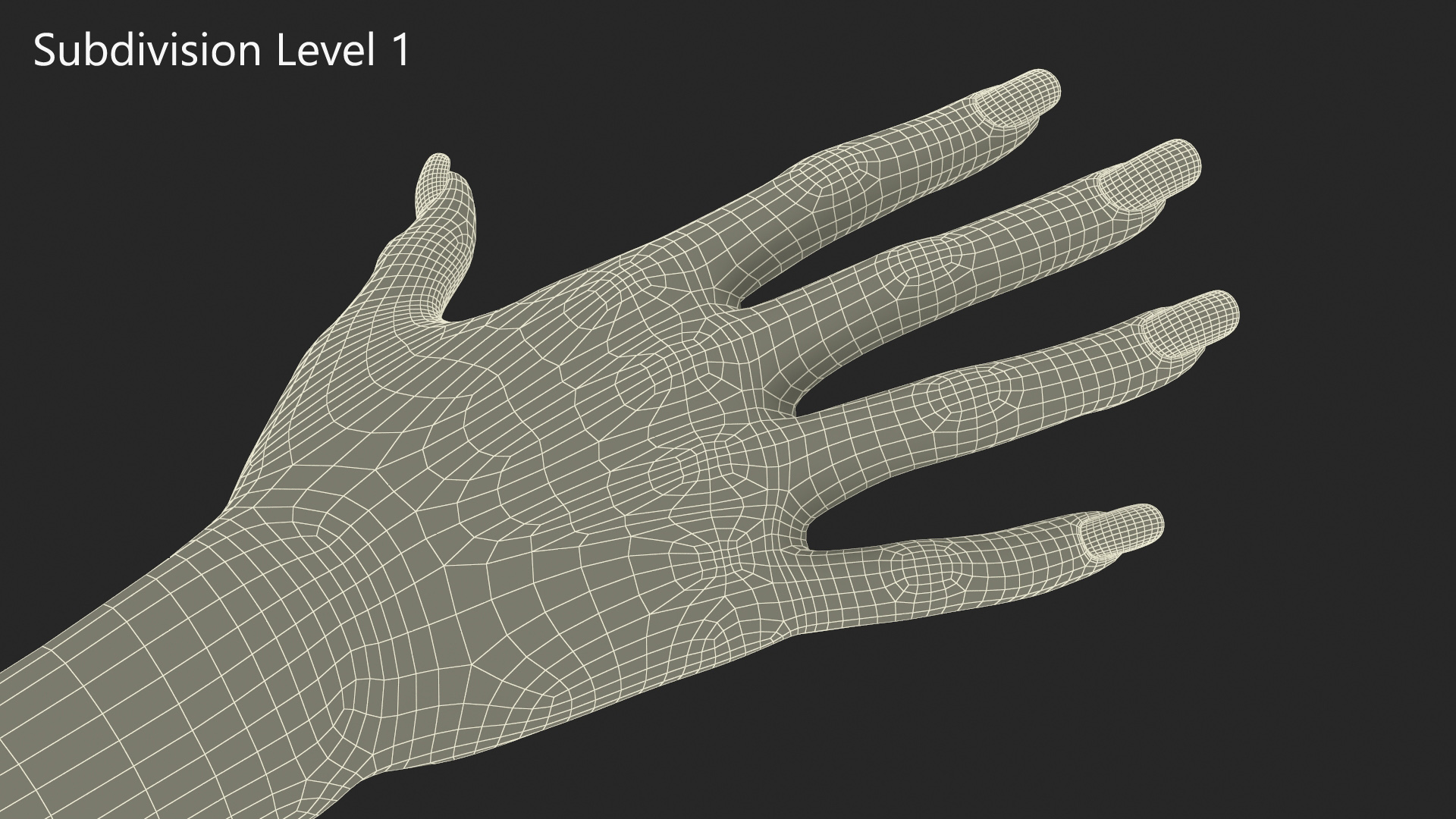 Realistic African American Arm and Hand 3D model