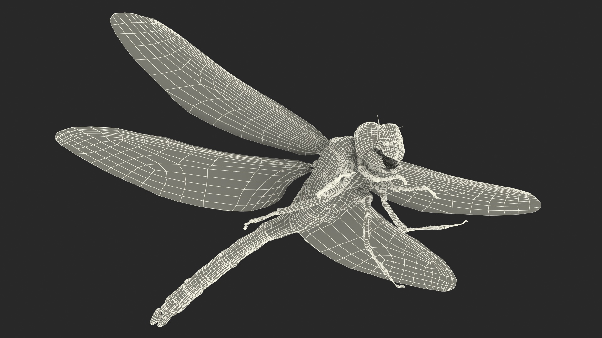 Dragonfly 3D model