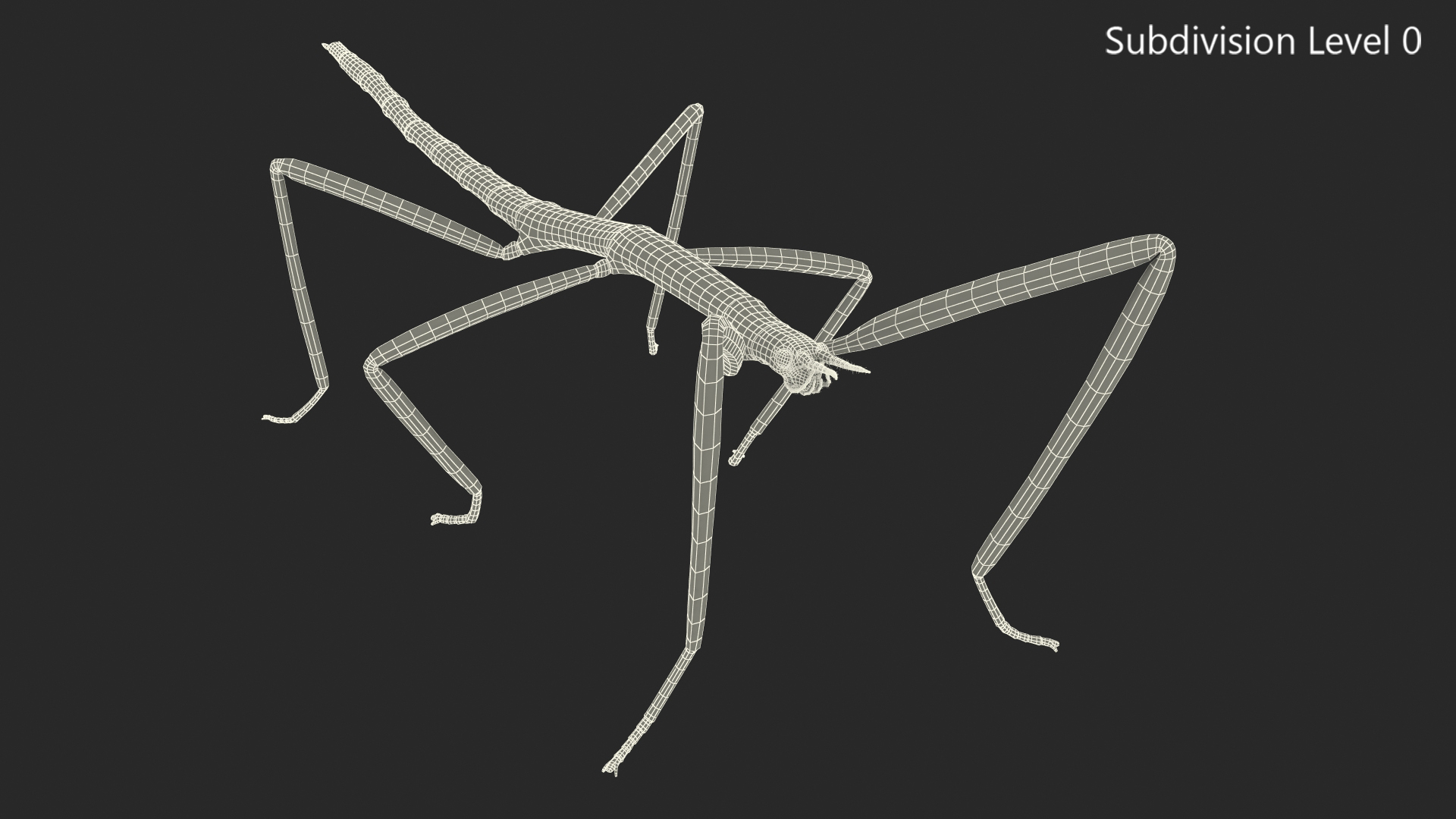 3D Stick Insect Brown model