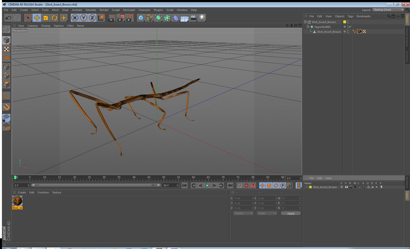 3D Stick Insect Brown model