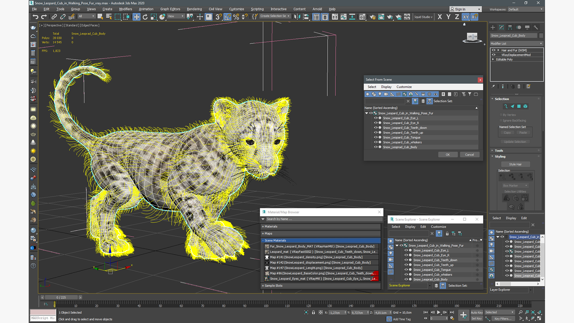 3D Snow Leopard Cub in Walking Pose Fur