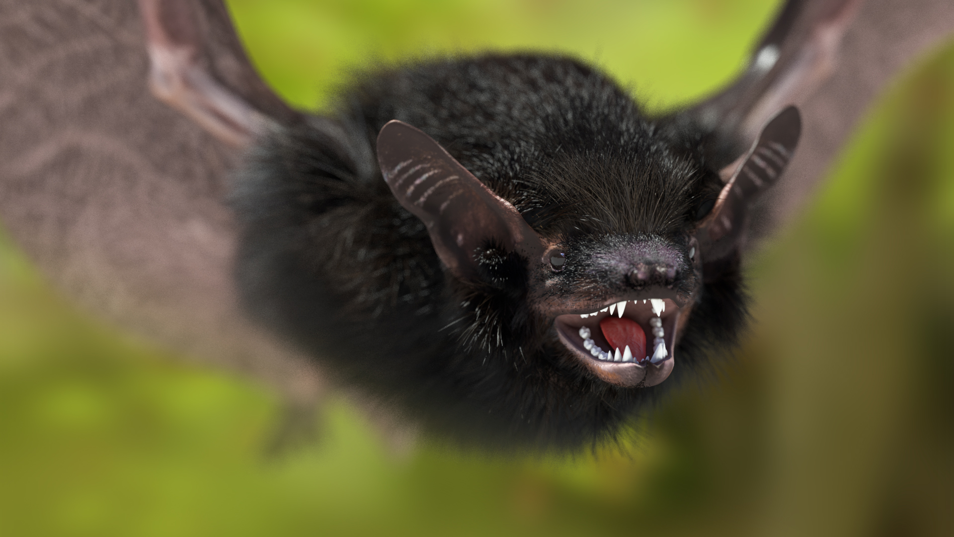 3D model Black Bat Fur Rigged