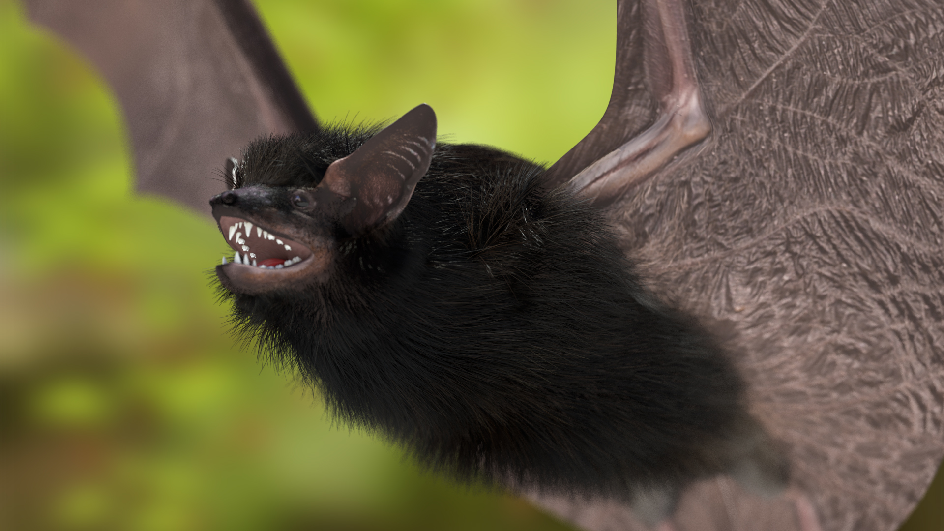 3D model Black Bat Fur Rigged