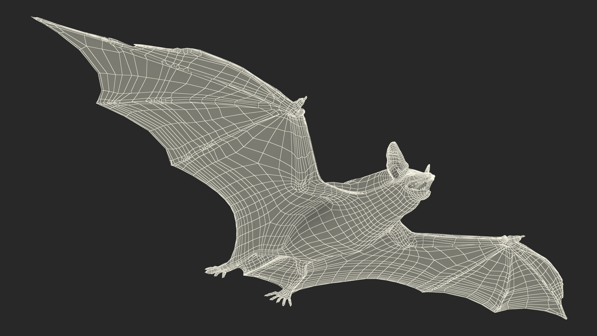 3D model Black Bat Fur Rigged