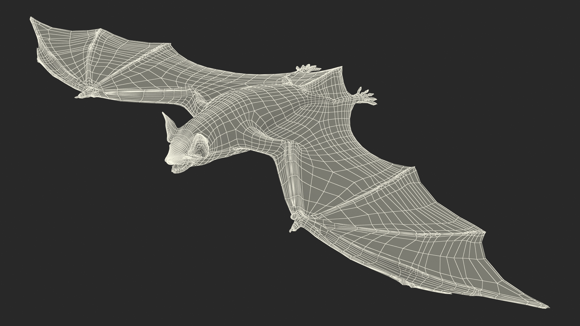 3D model Black Bat Fur Rigged