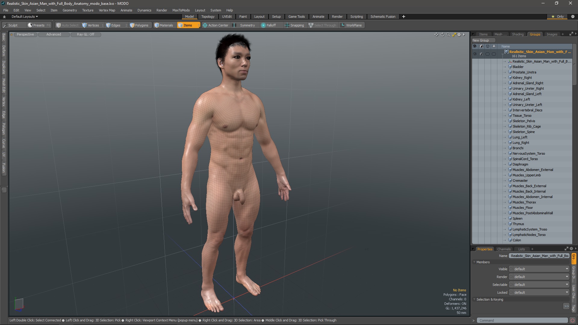 Realistic Skin Asian Man with Full Body Anatomy 3D