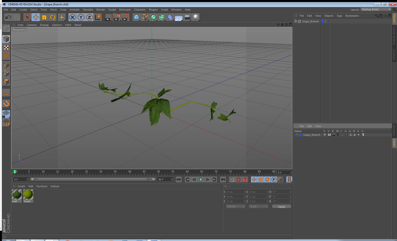 Grape Branch 3D