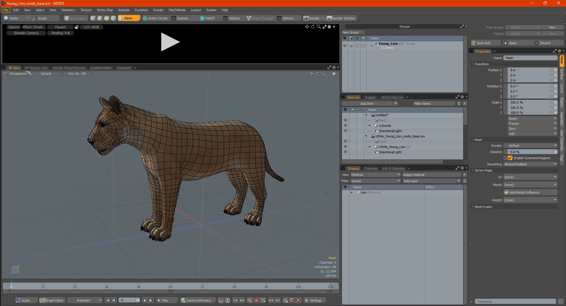 3D model Young Lion