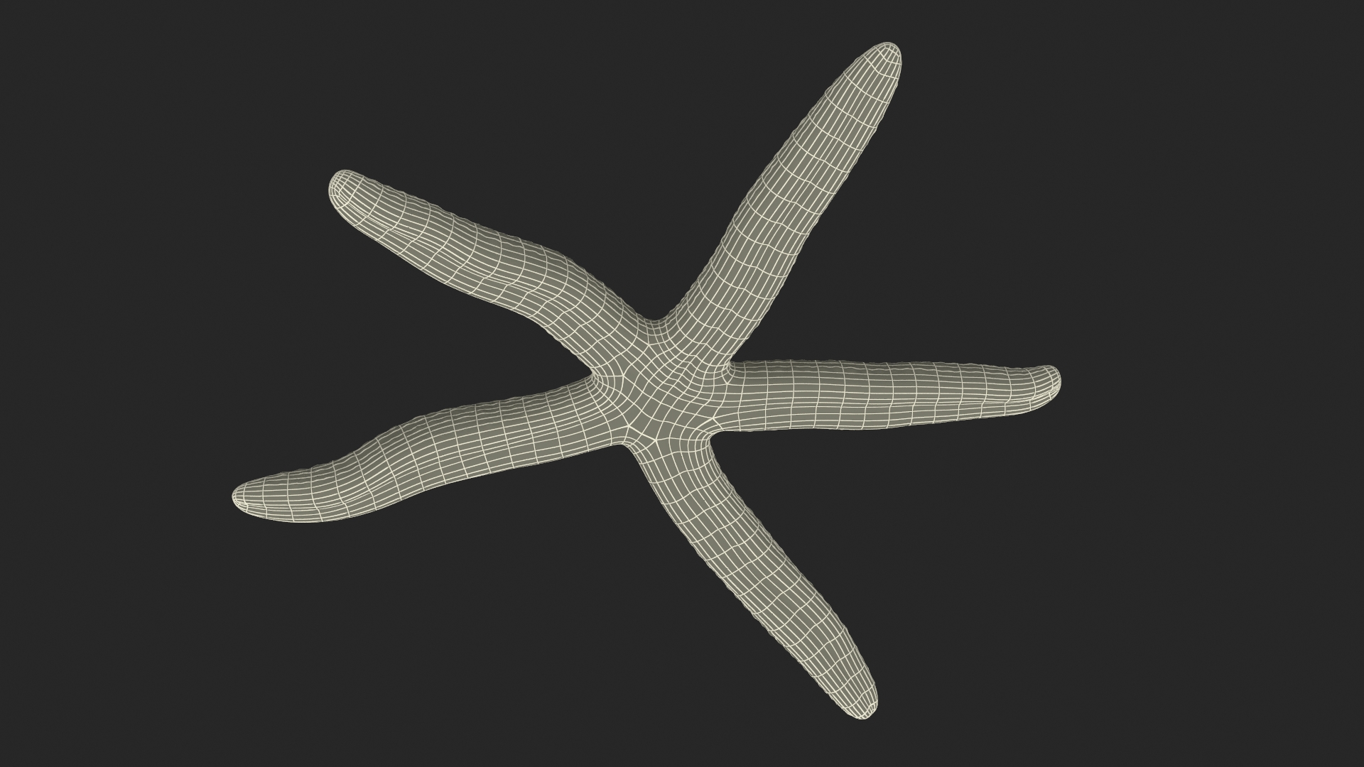 3D Red Starfish Lying Pose model