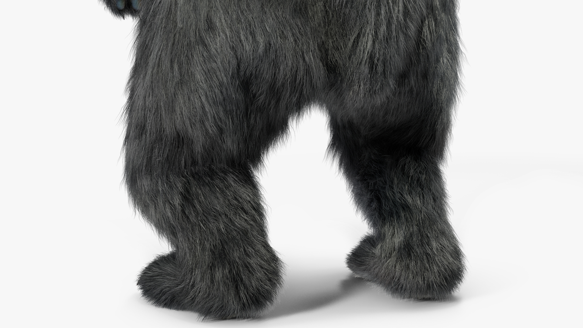 Standing Young Black Bear Fur 3D model