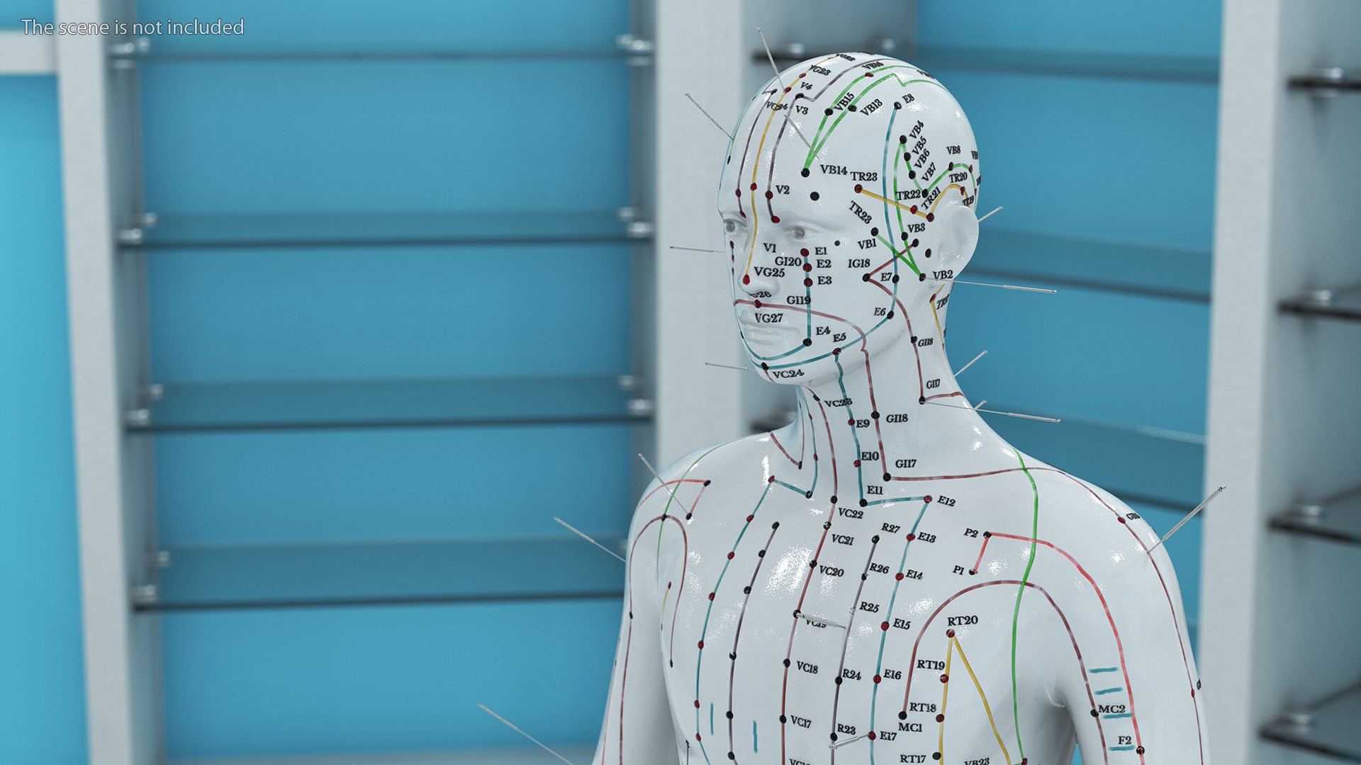 3D Male Acupuncture Anatomy Chart with Needles model