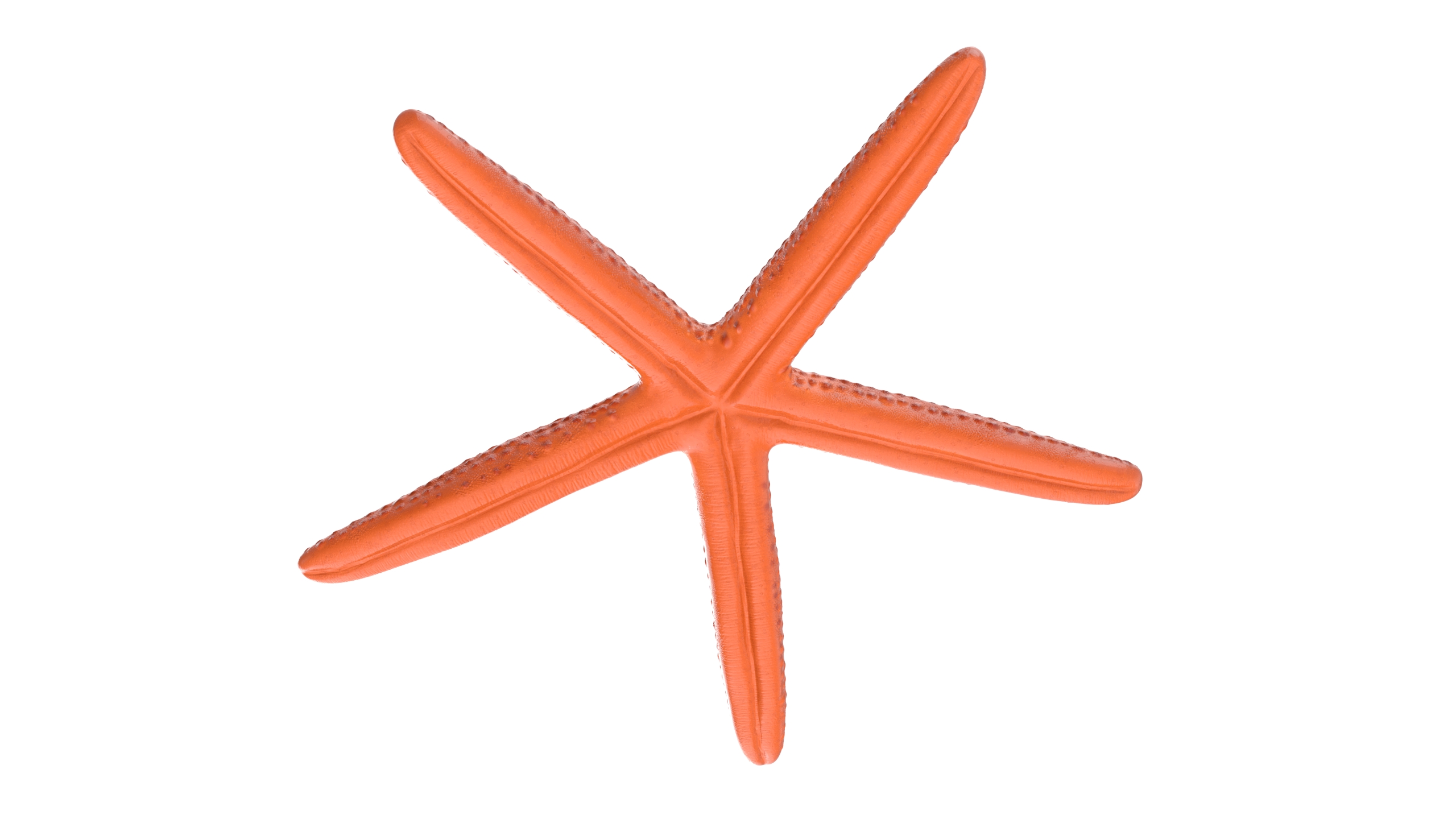 Red Sea Star Rigged 3D model