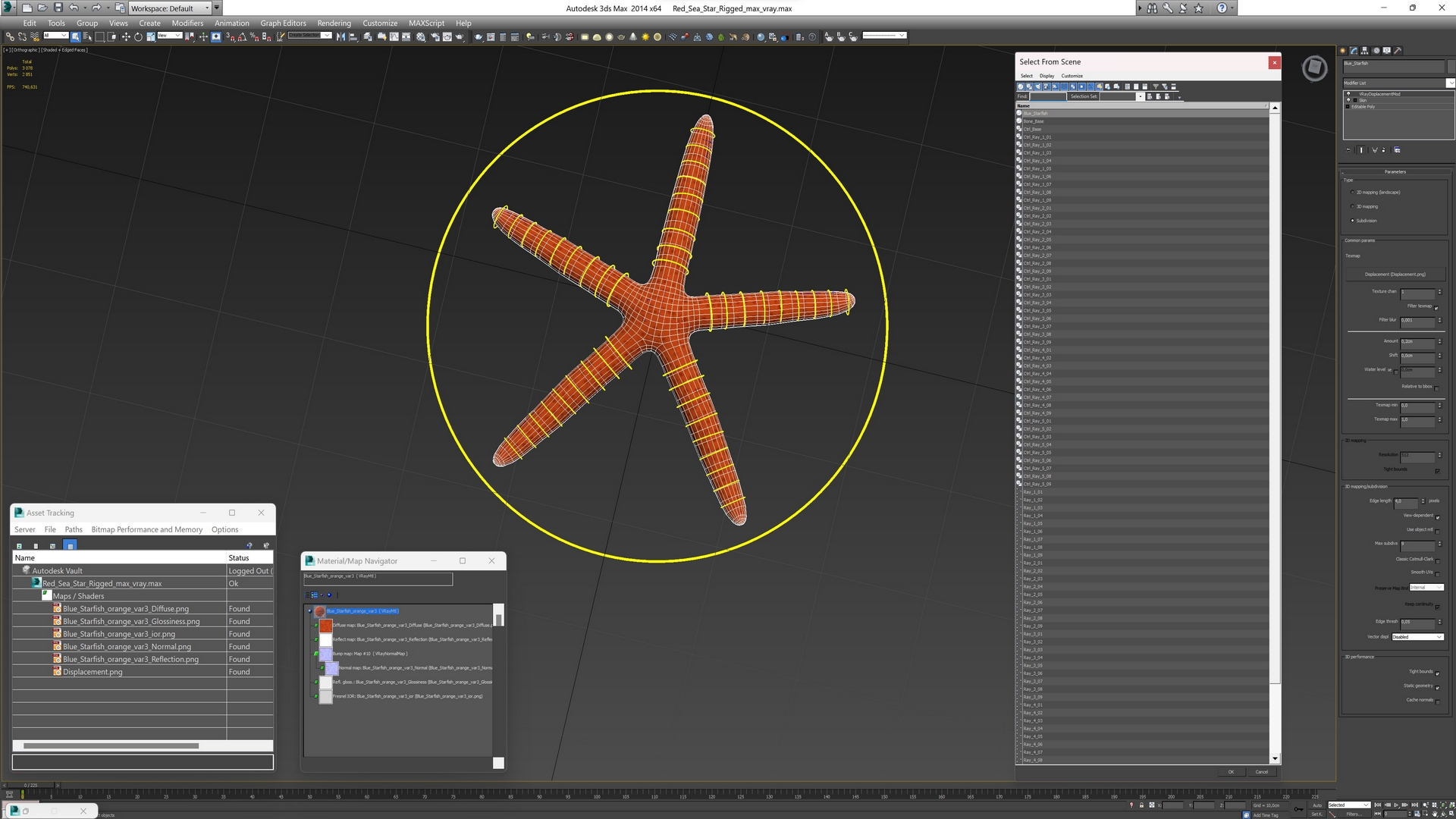 Red Sea Star Rigged 3D model