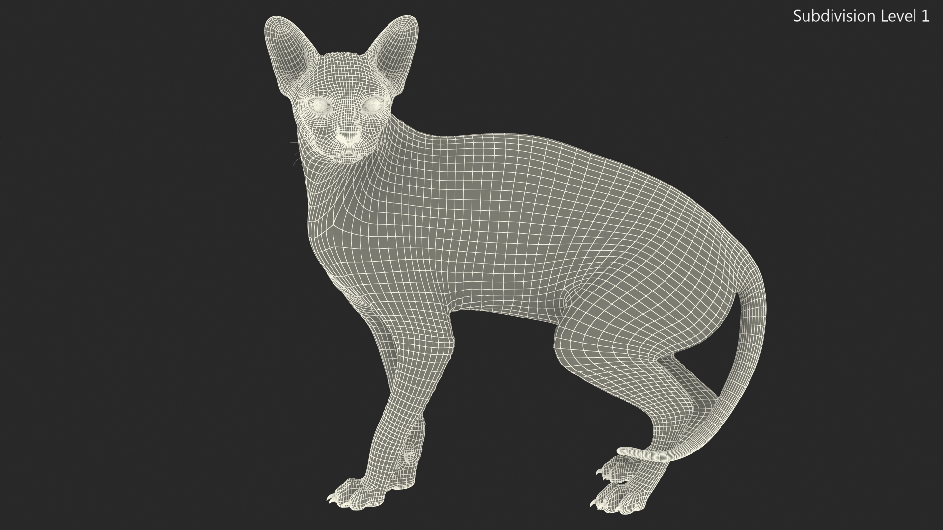 3D Sphynx Cat Black