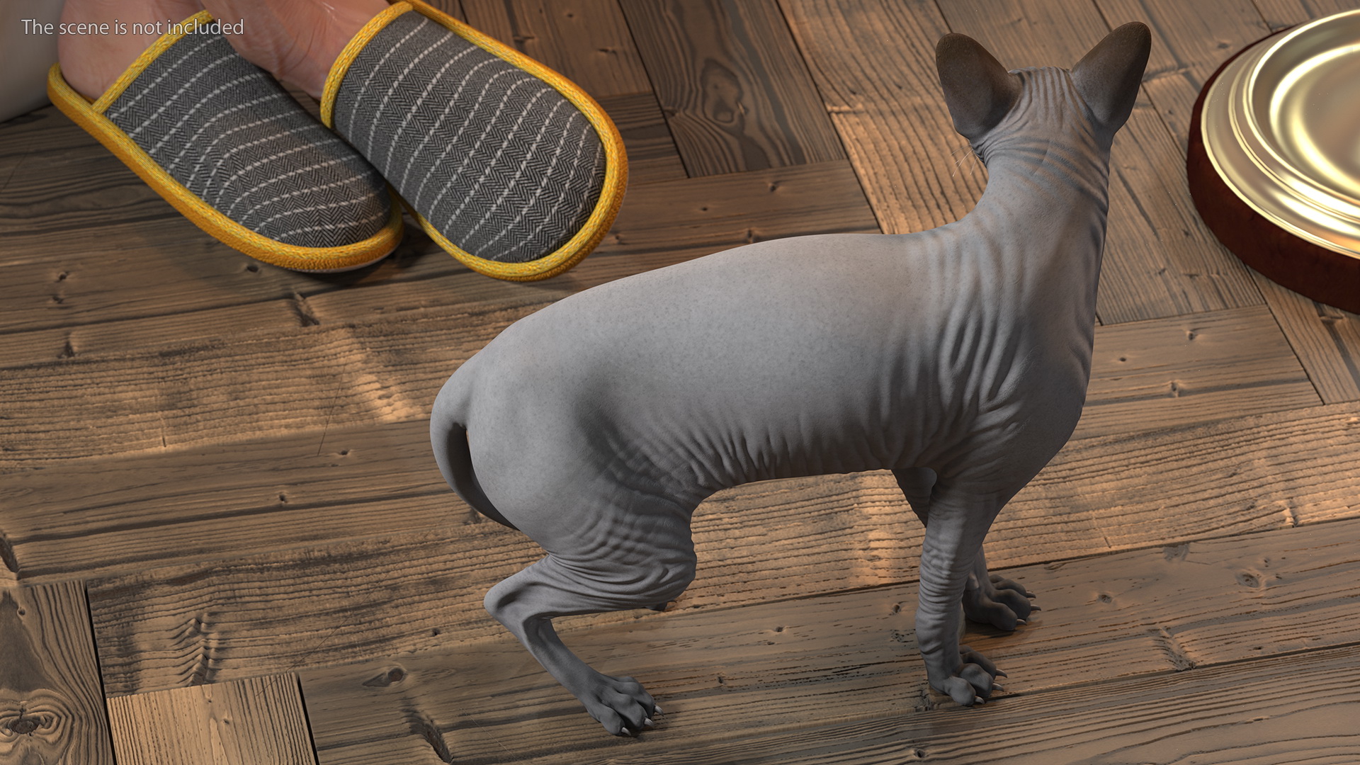 3D Sphynx Cat Black