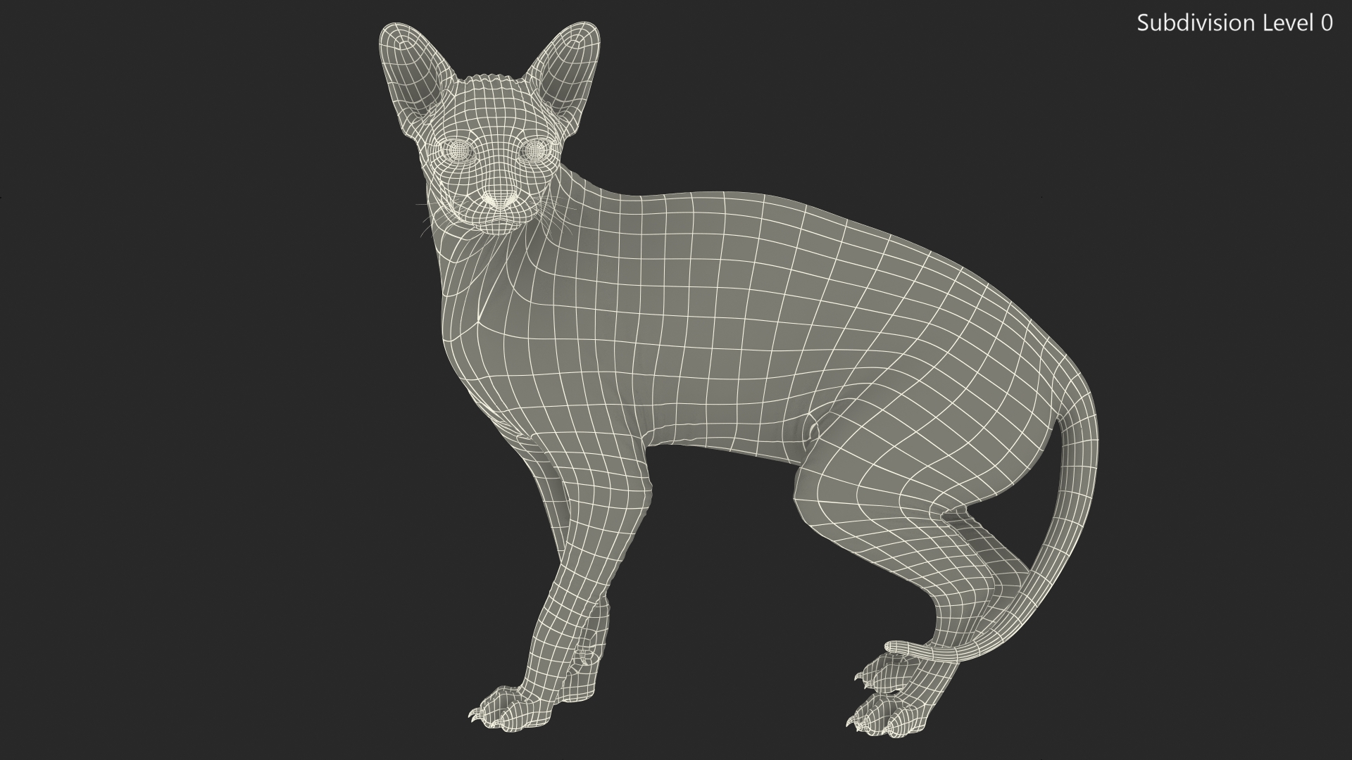 3D Sphynx Cat Black