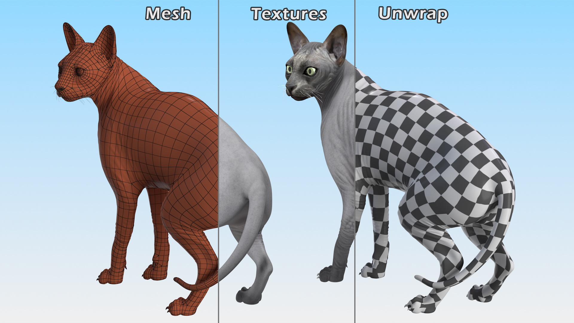 3D Sphynx Cat Black