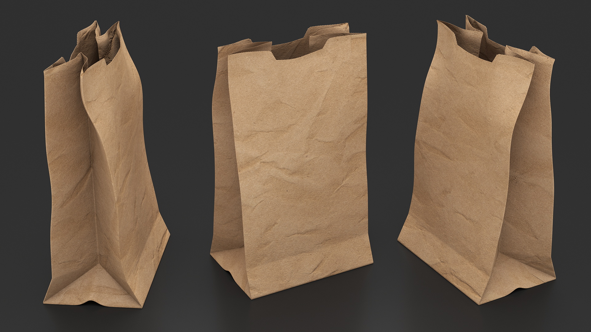 Paper Grocery Bag 3D