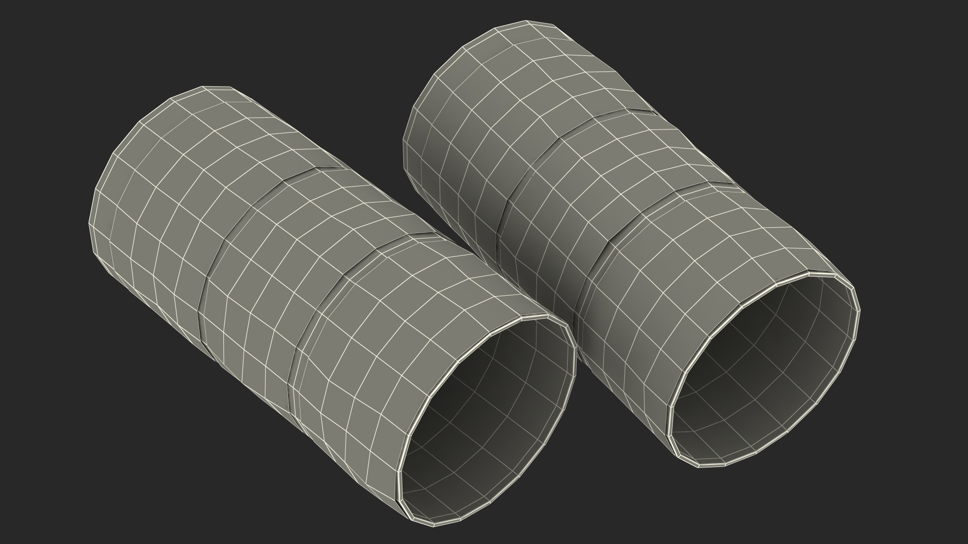 Empty Toilet Paper Tubes 3D model