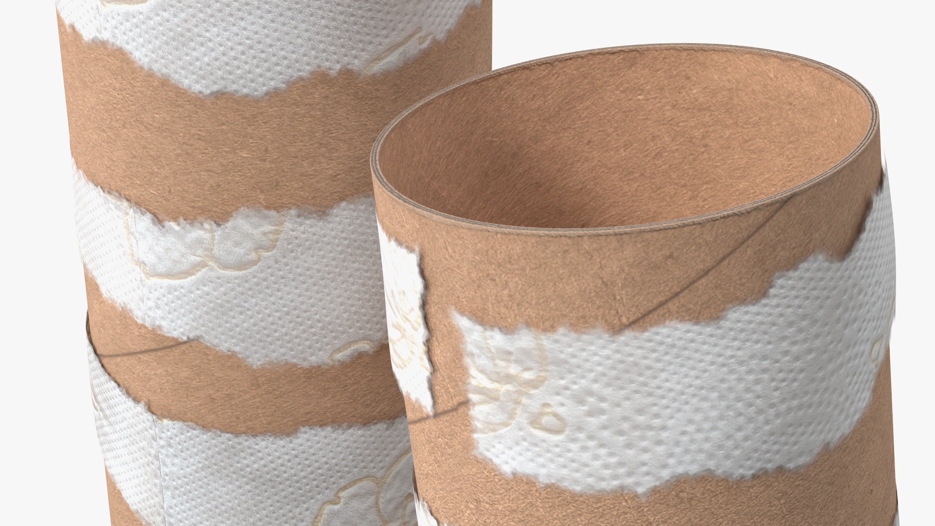 Empty Toilet Paper Tubes 3D model