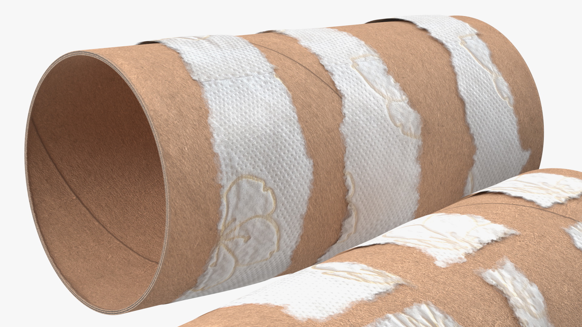 Empty Toilet Paper Tubes 3D model