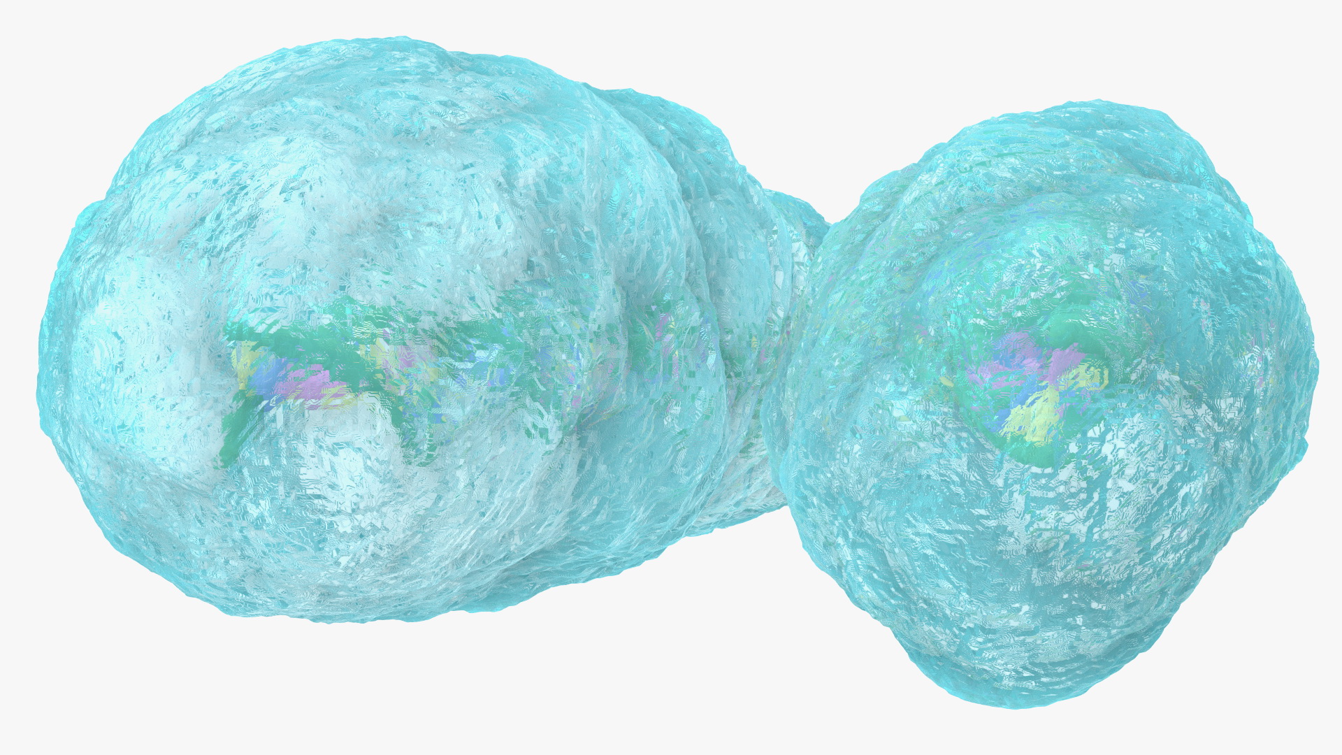 3D Human X Chromosome model