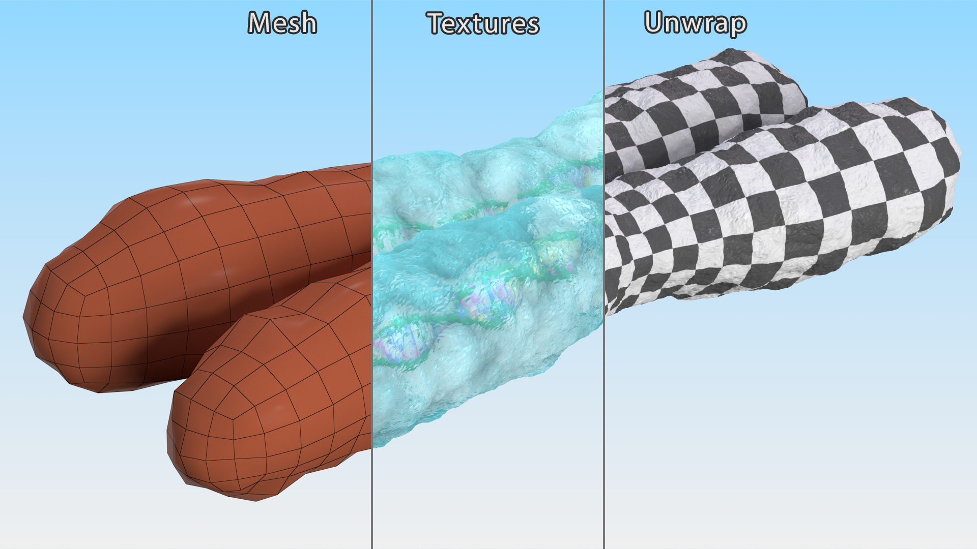 3D Human X Chromosome model