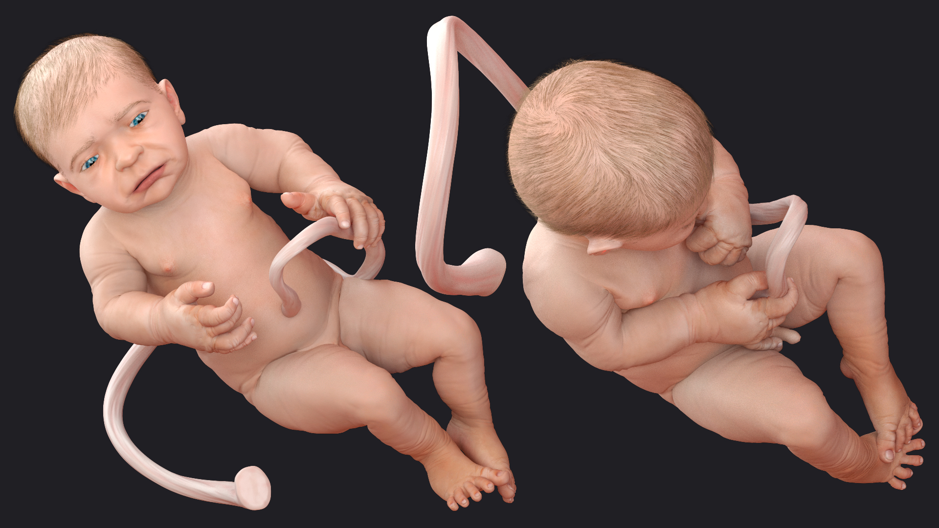 3D Baby Boy at 38 Weeks Fur Rigged