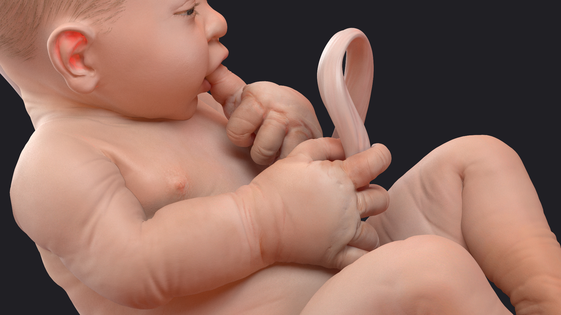 3D Baby Boy at 38 Weeks Fur Rigged