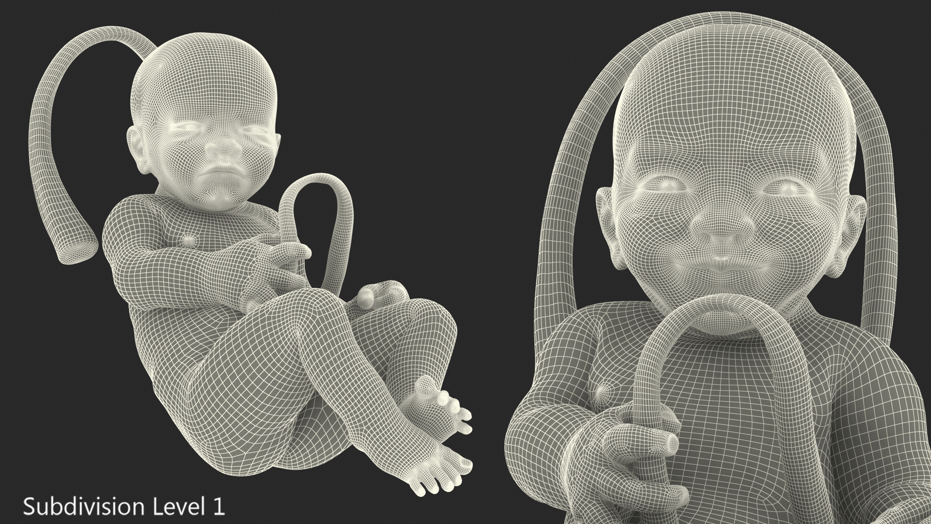 3D Baby Boy at 38 Weeks Fur Rigged