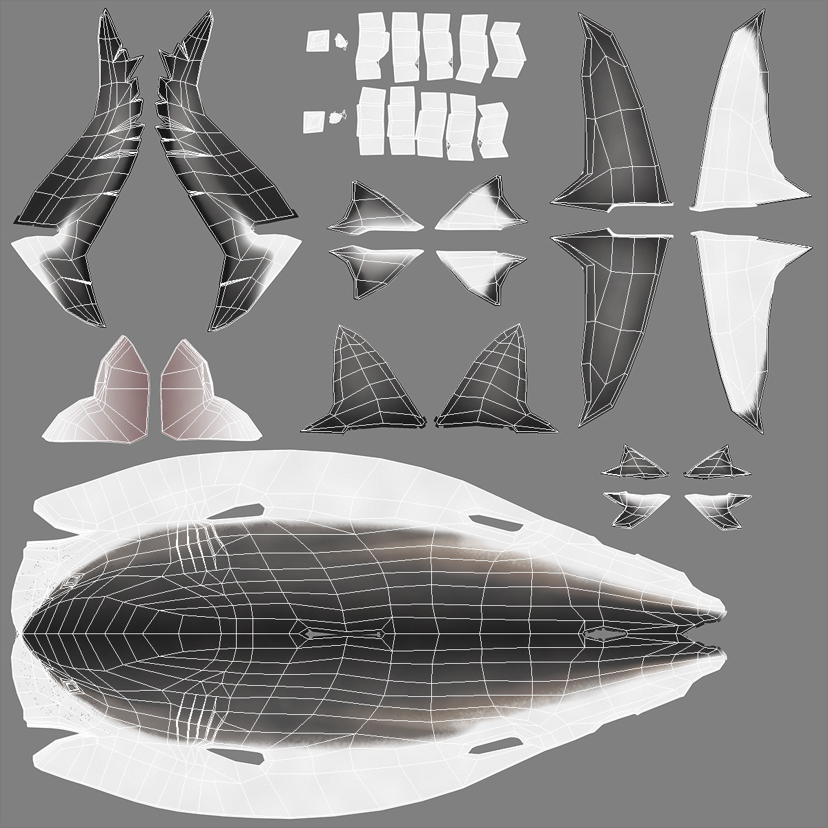 3D Realistic Dusky Shark Rigged model