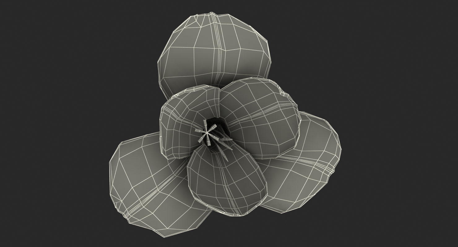 Freesia Flower 3D model