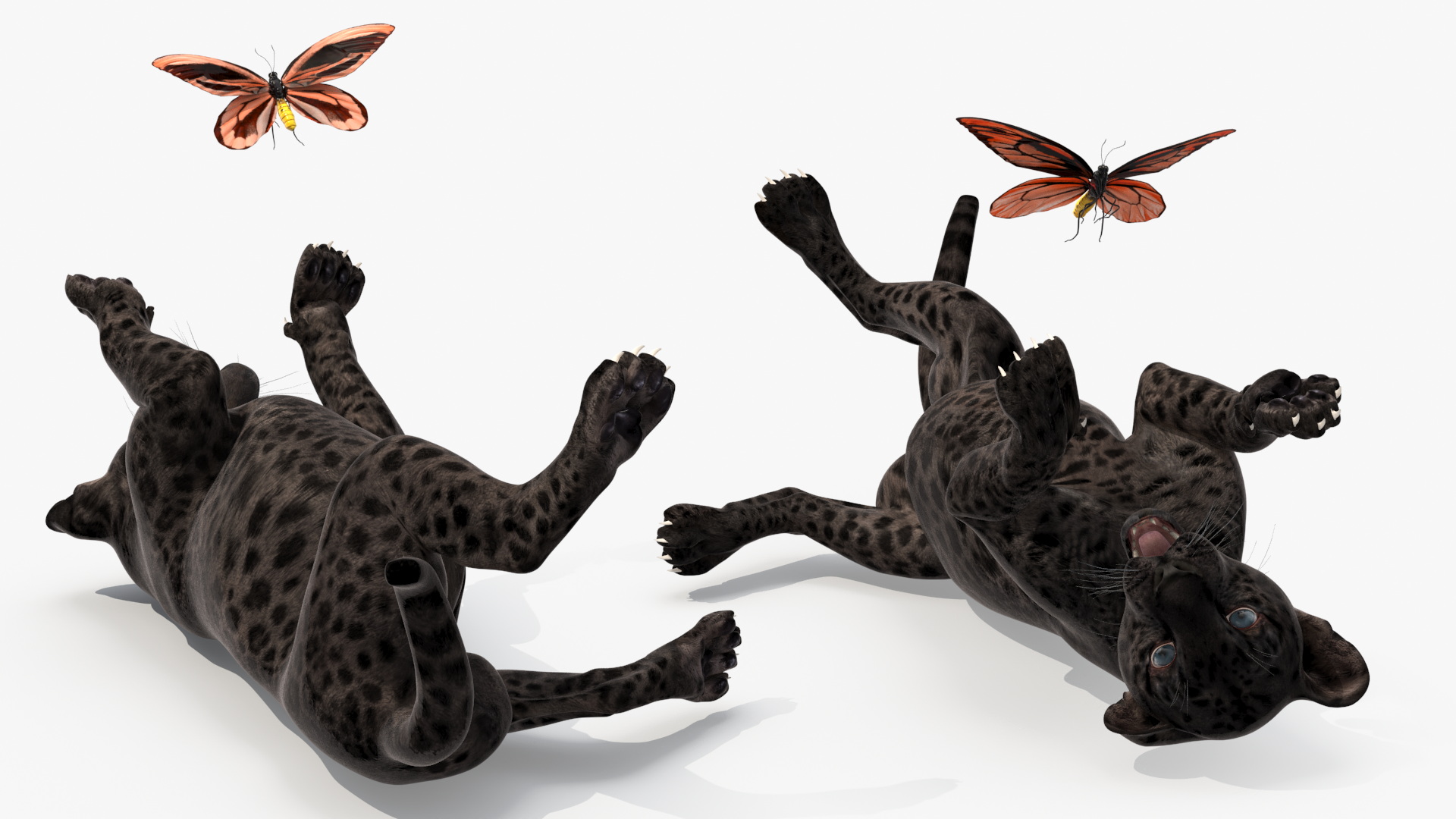 3D model Playful Black Leopard Cub with Butterfly