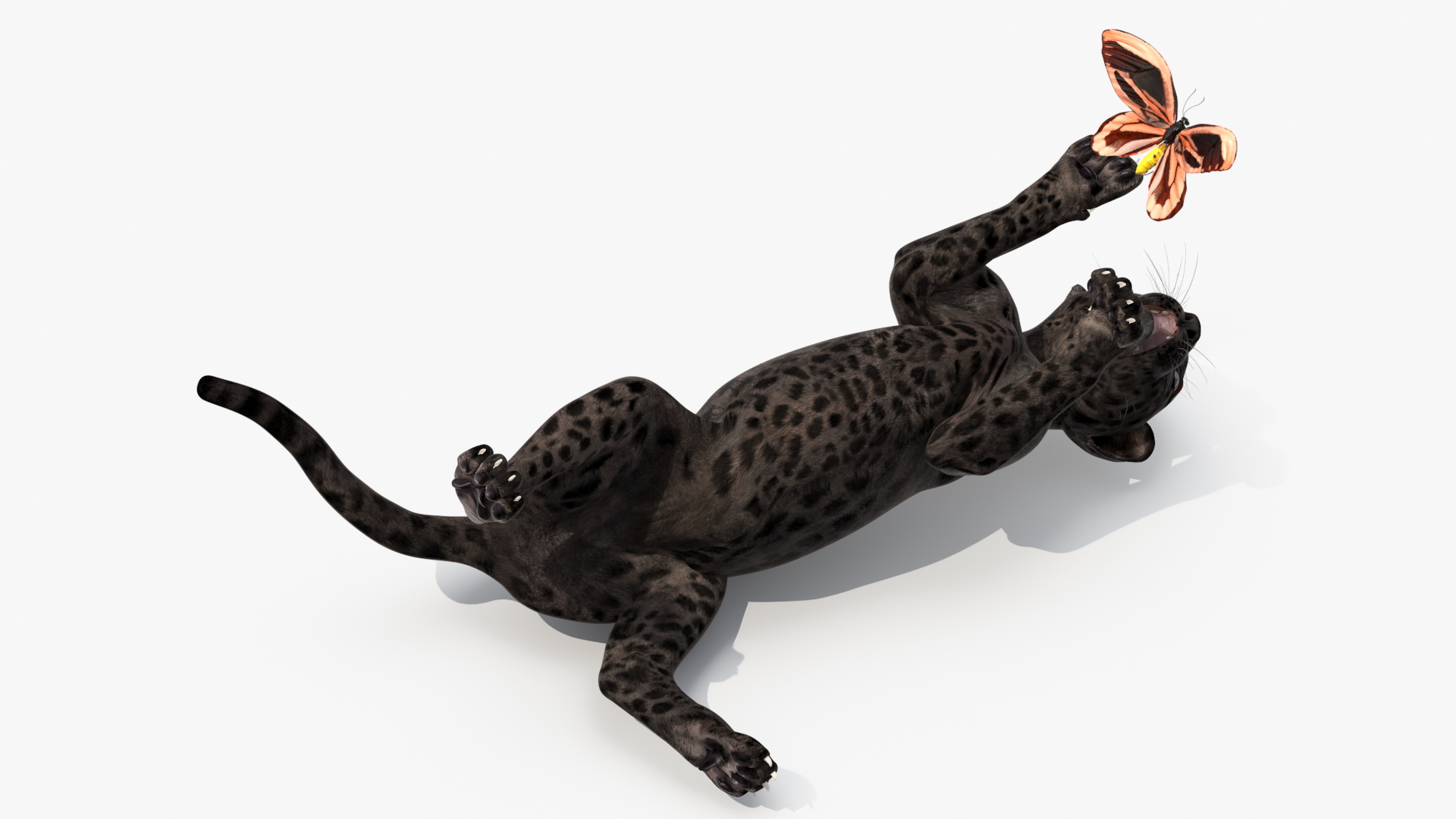 3D model Playful Black Leopard Cub with Butterfly