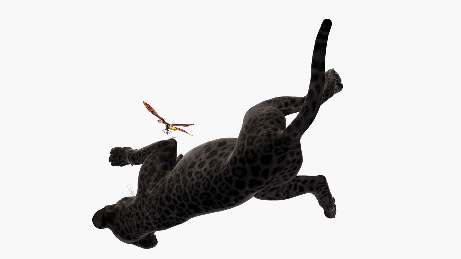 3D model Playful Black Leopard Cub with Butterfly