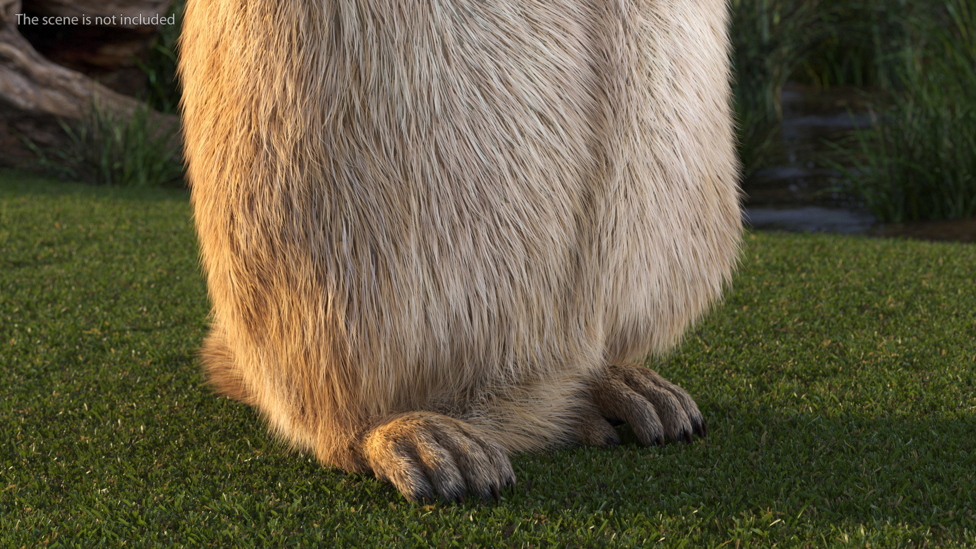 3D model Groundhog Standing on Hind Legs Fur